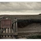 Westerhever (3)