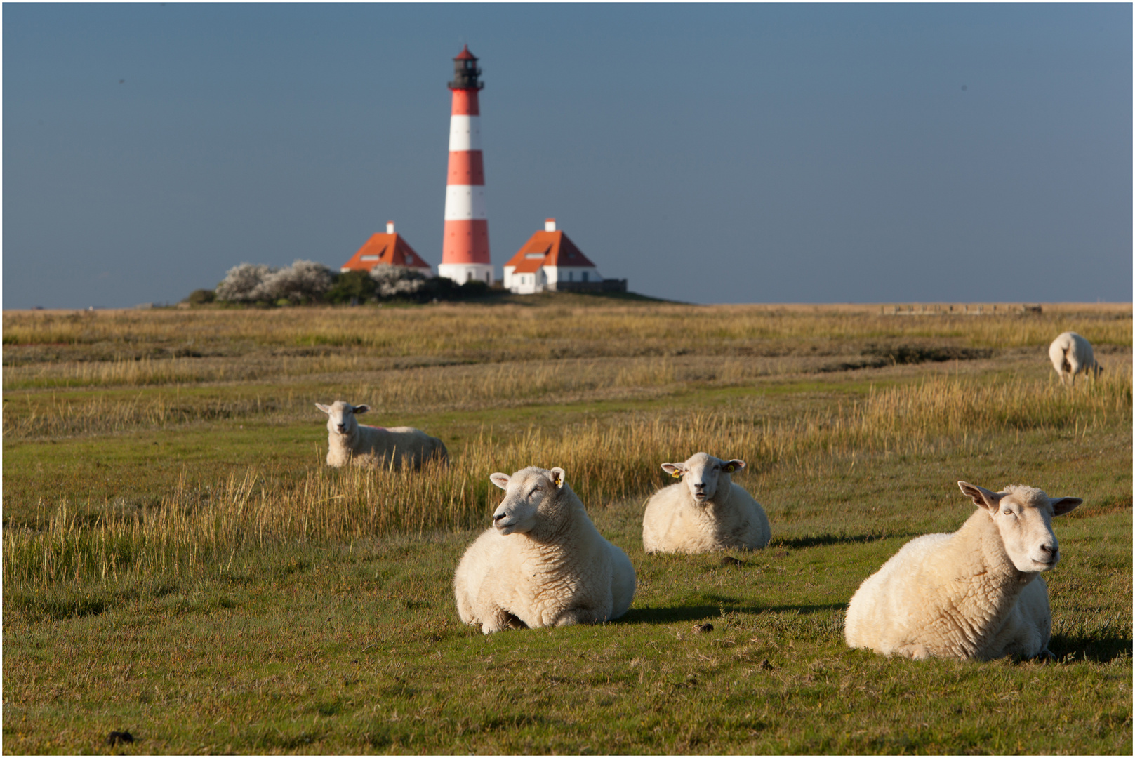 Westerhever 3