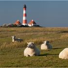 Westerhever 3