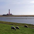 Westerhever 3