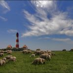 * Westerhever **^^