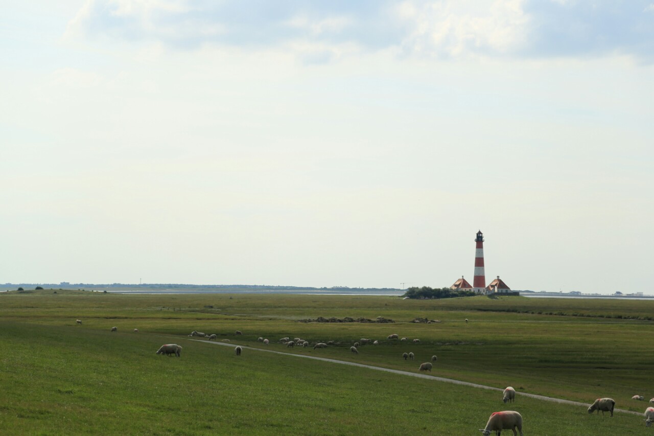 Westerhever