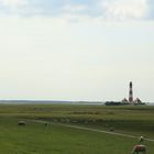 Westerhever