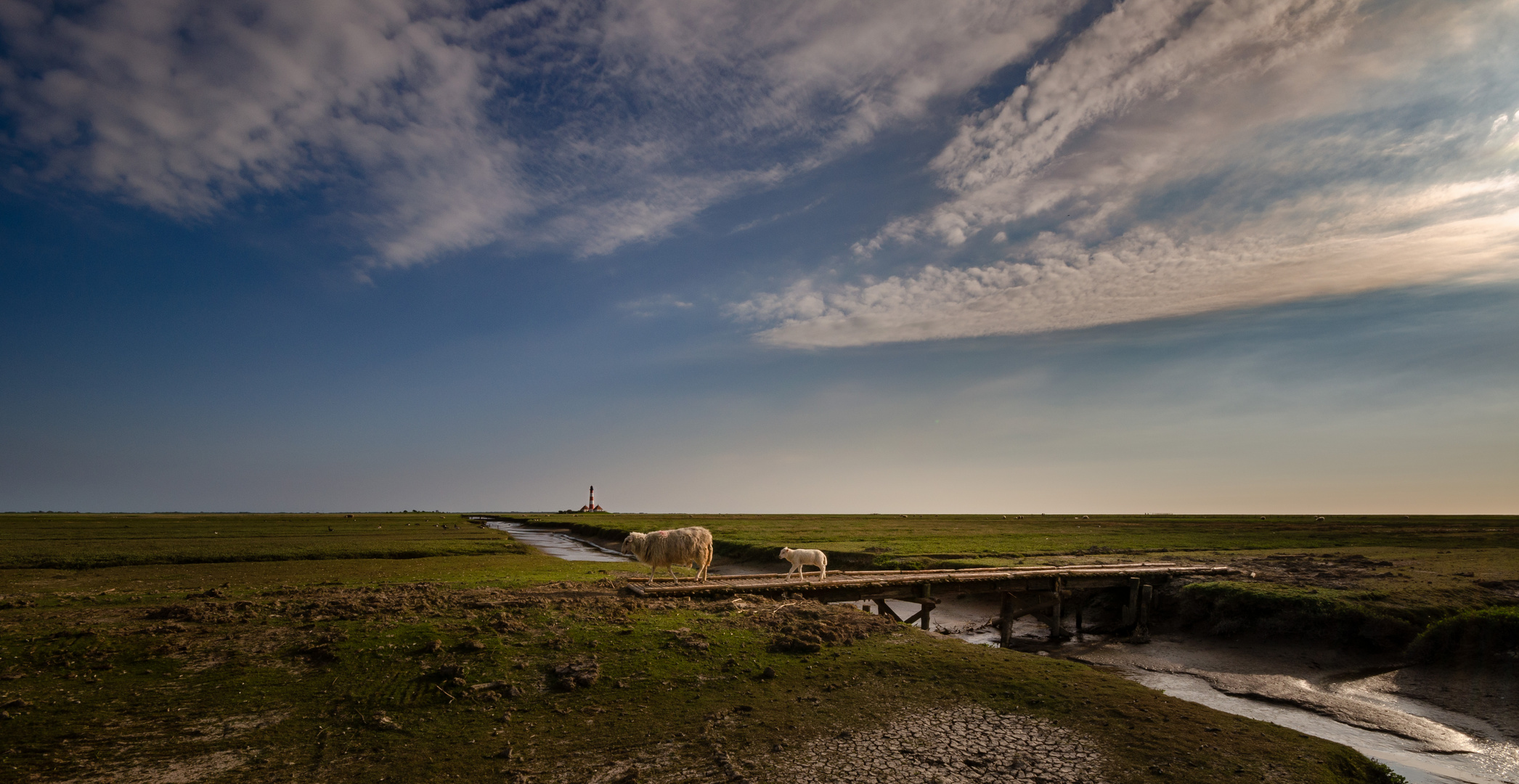 * Westerhever *