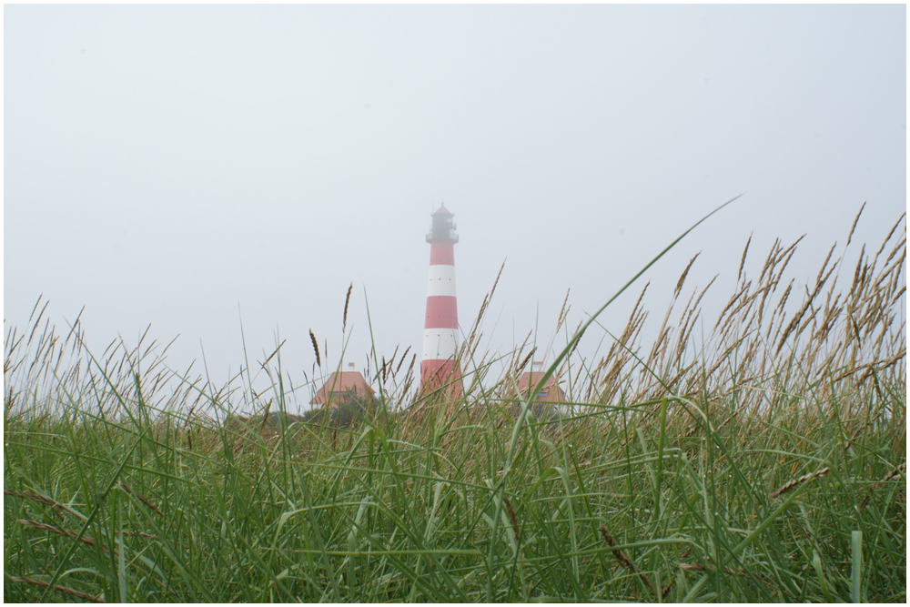 Westerhever