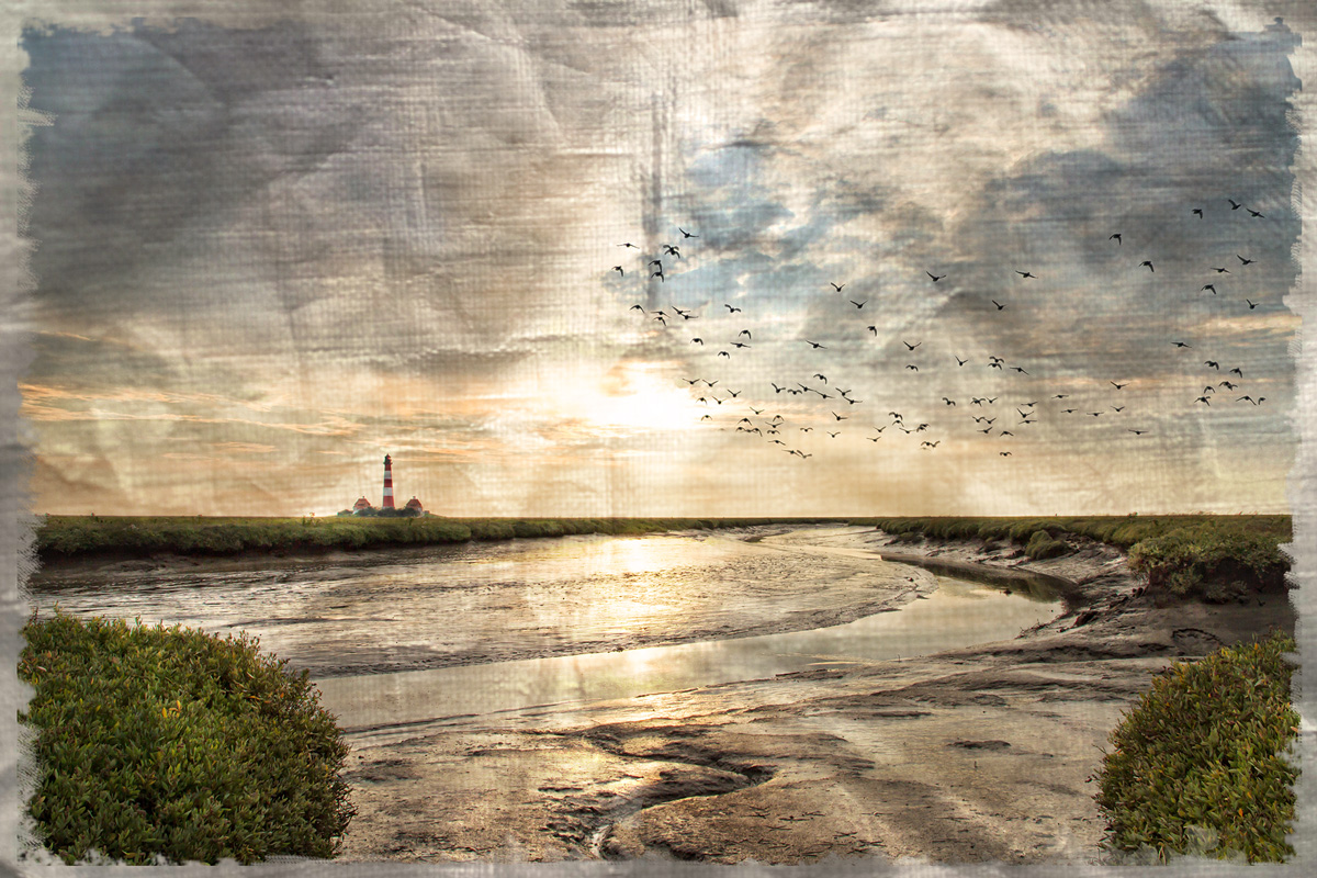 Westerhever #5