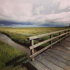 Westerhever