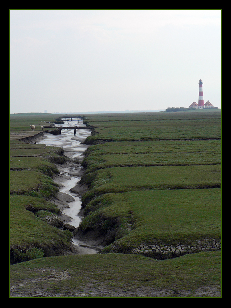 Westerhever