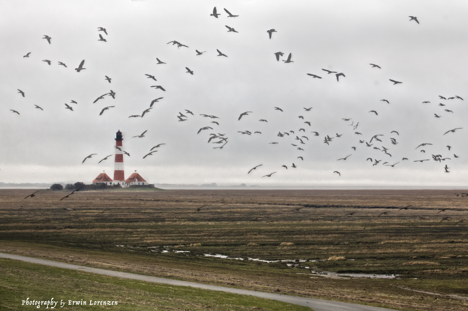 Westerhever 