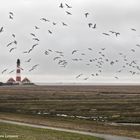 Westerhever 