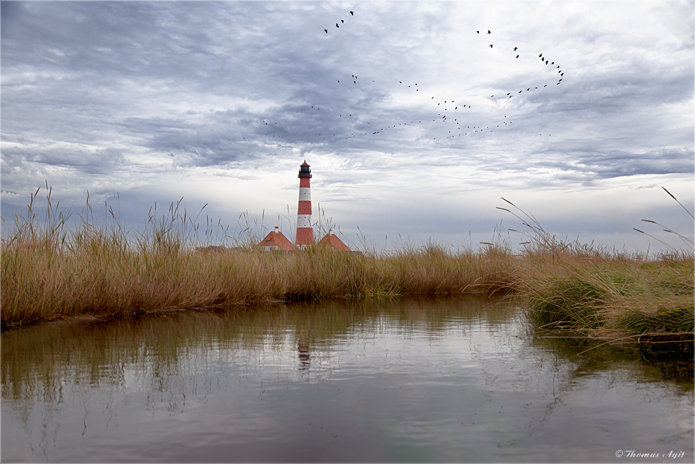 Westerhever