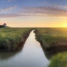 Westerhever