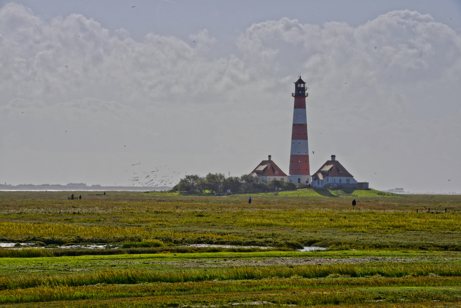 Westerhever