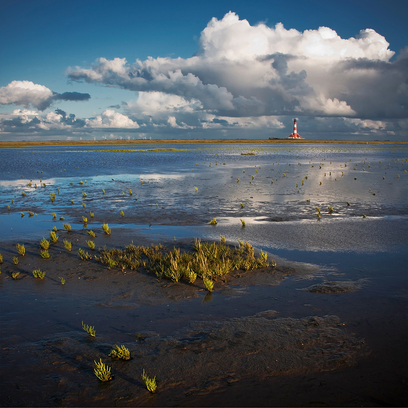 Westerhever #7