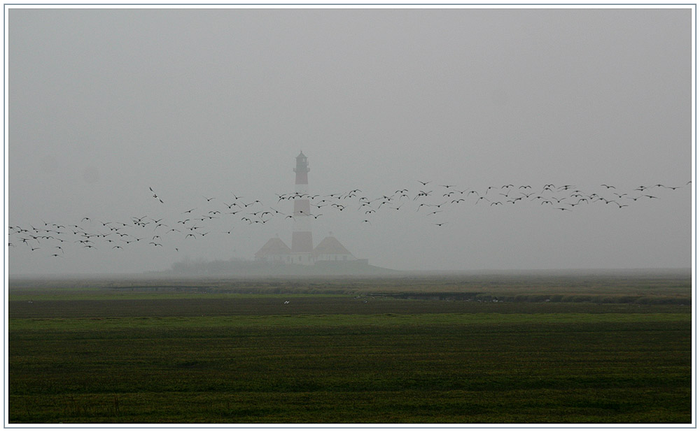 Westerhever