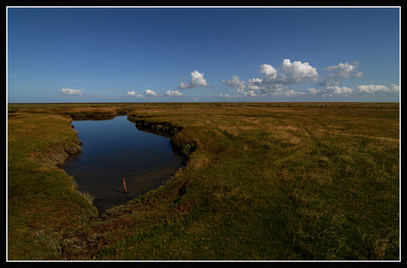 Westerhever