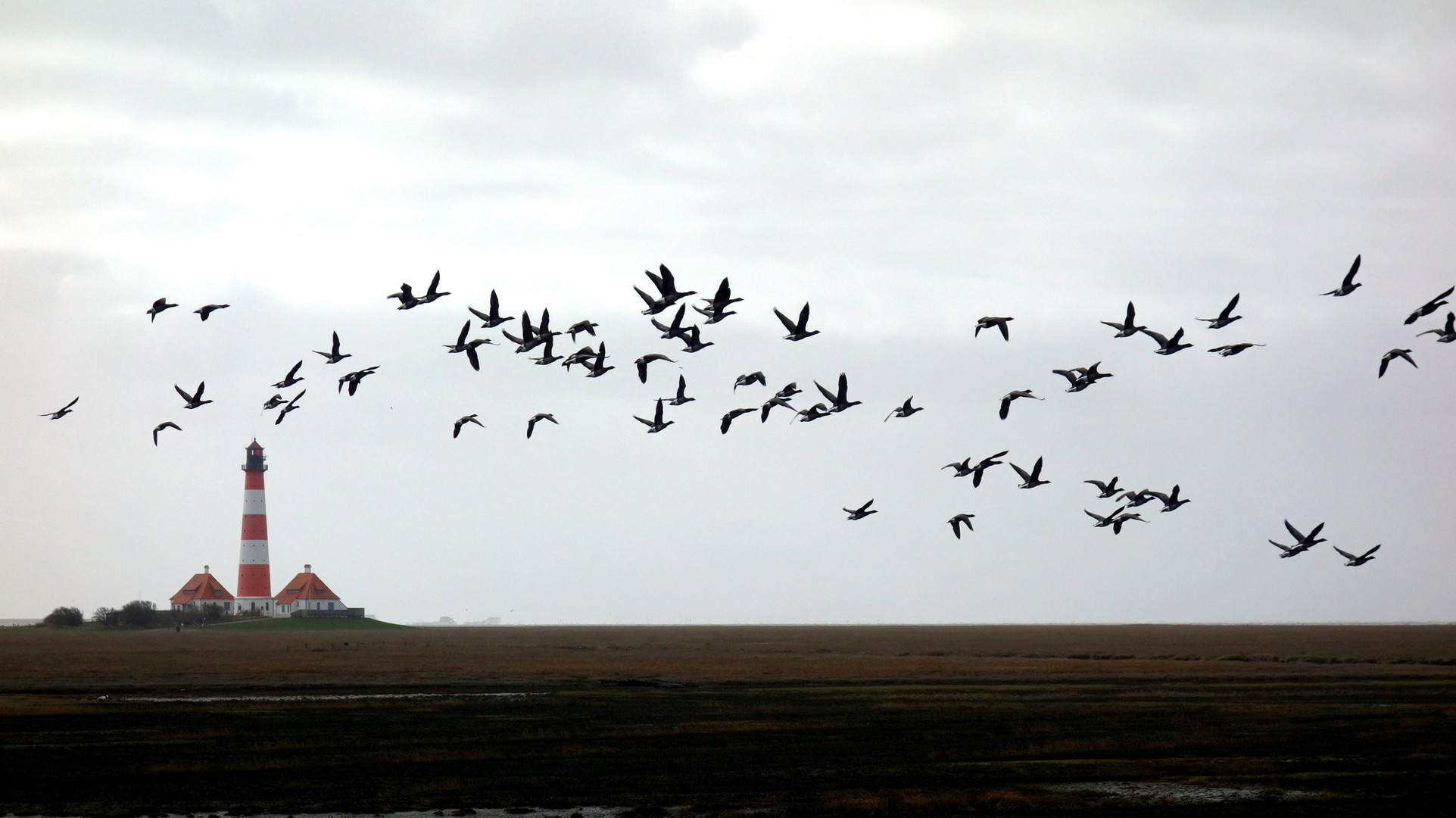 Westerhever