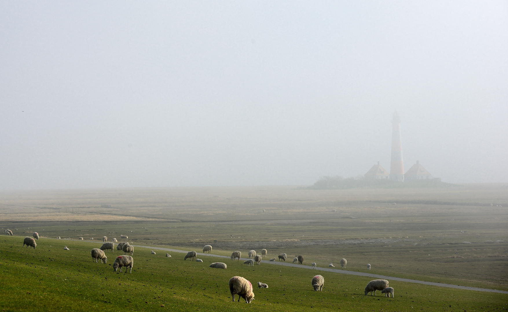 Westerhever