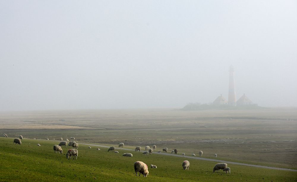 Westerhever