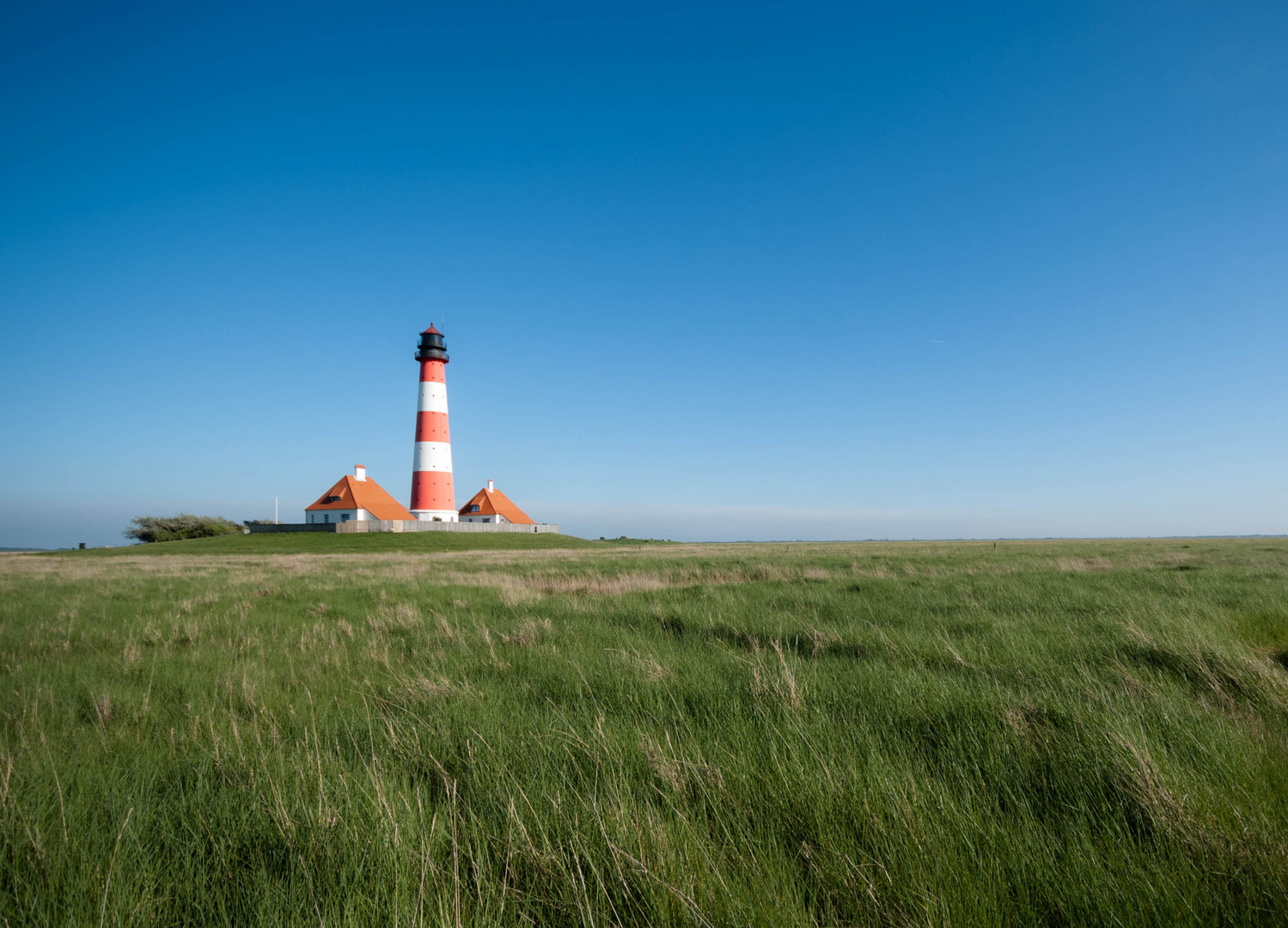 Westerhever