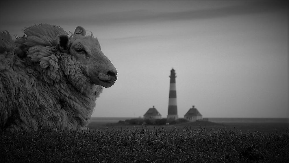 westerhever