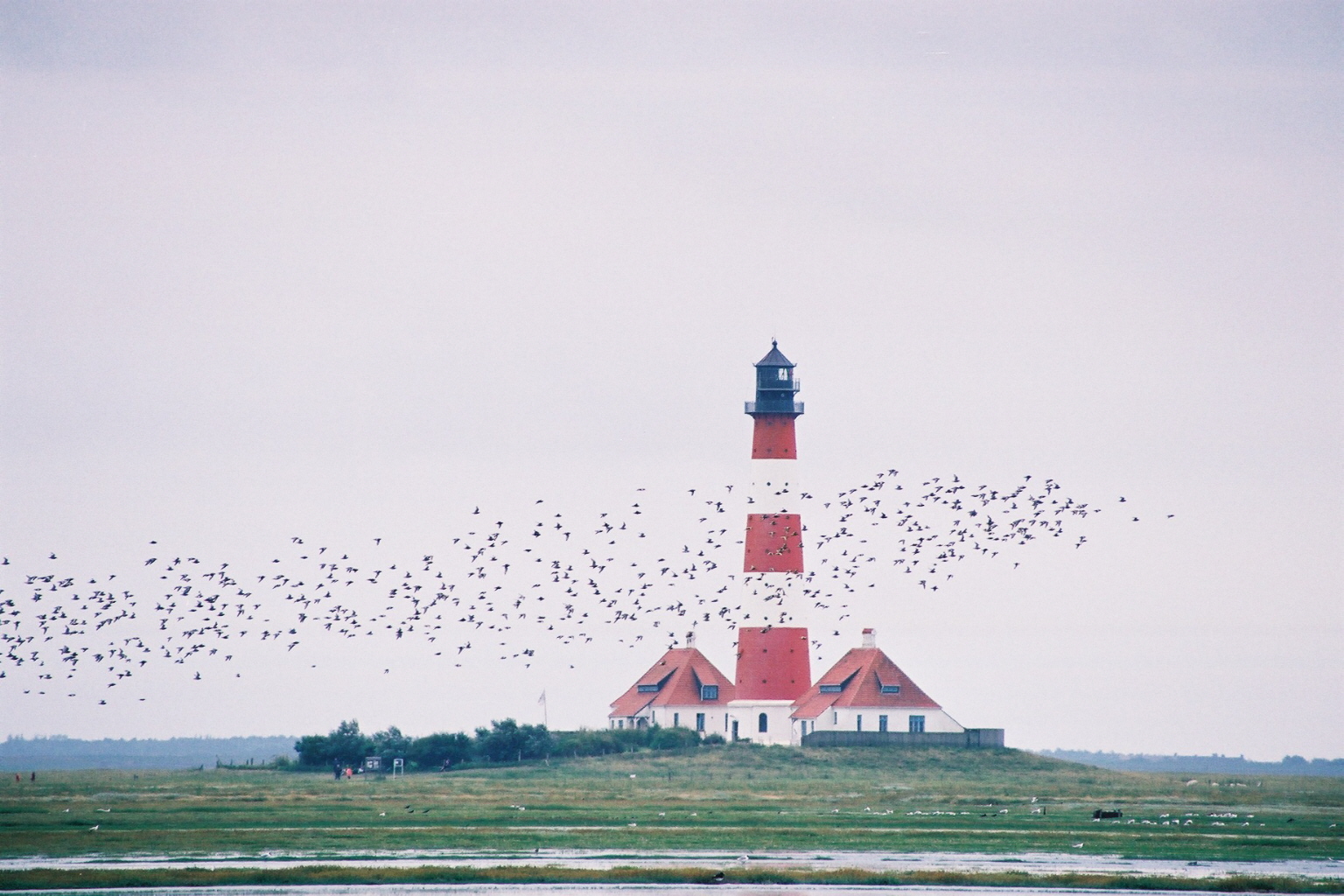 Westerhever