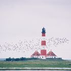 Westerhever