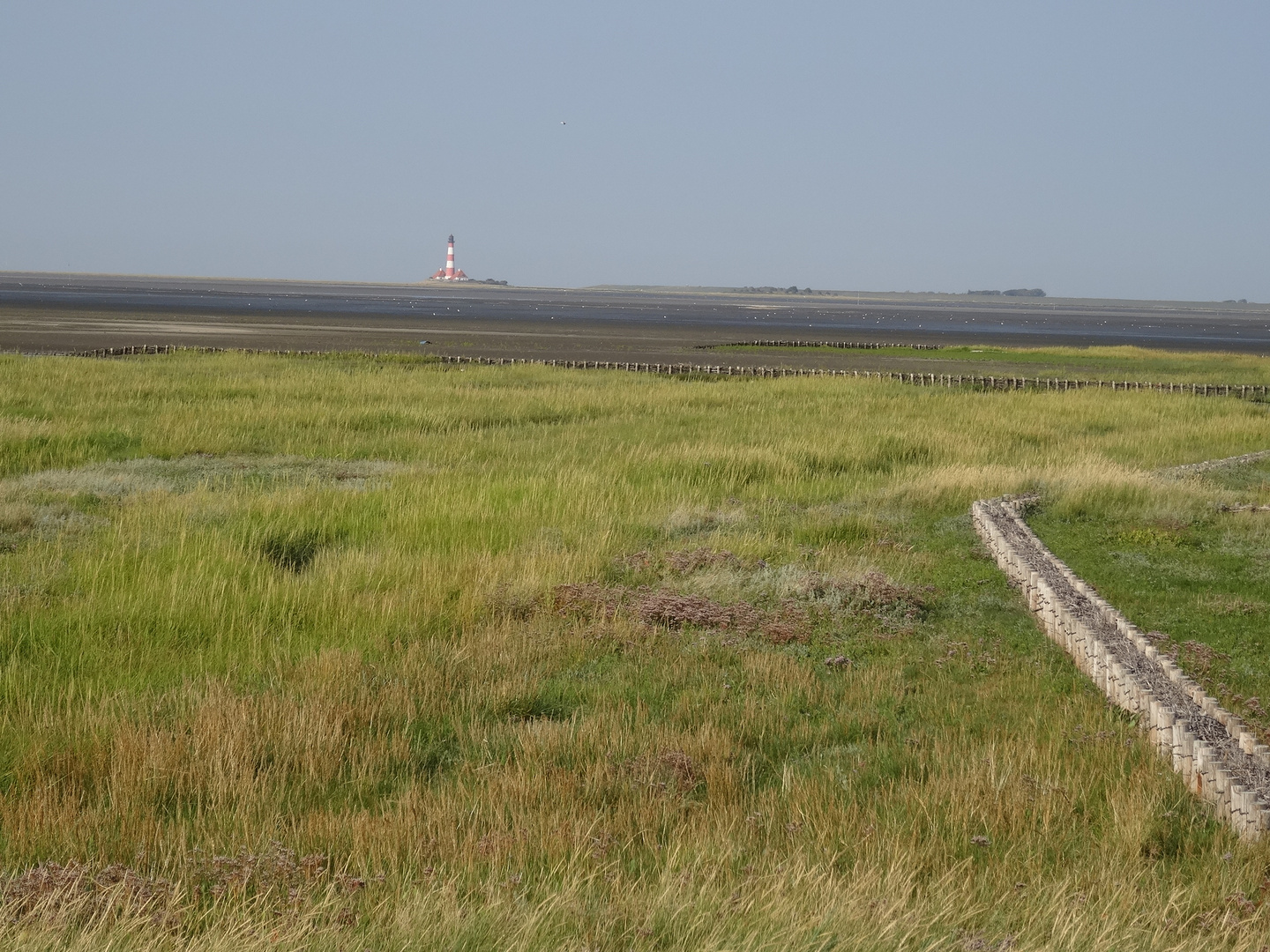 Westerhever