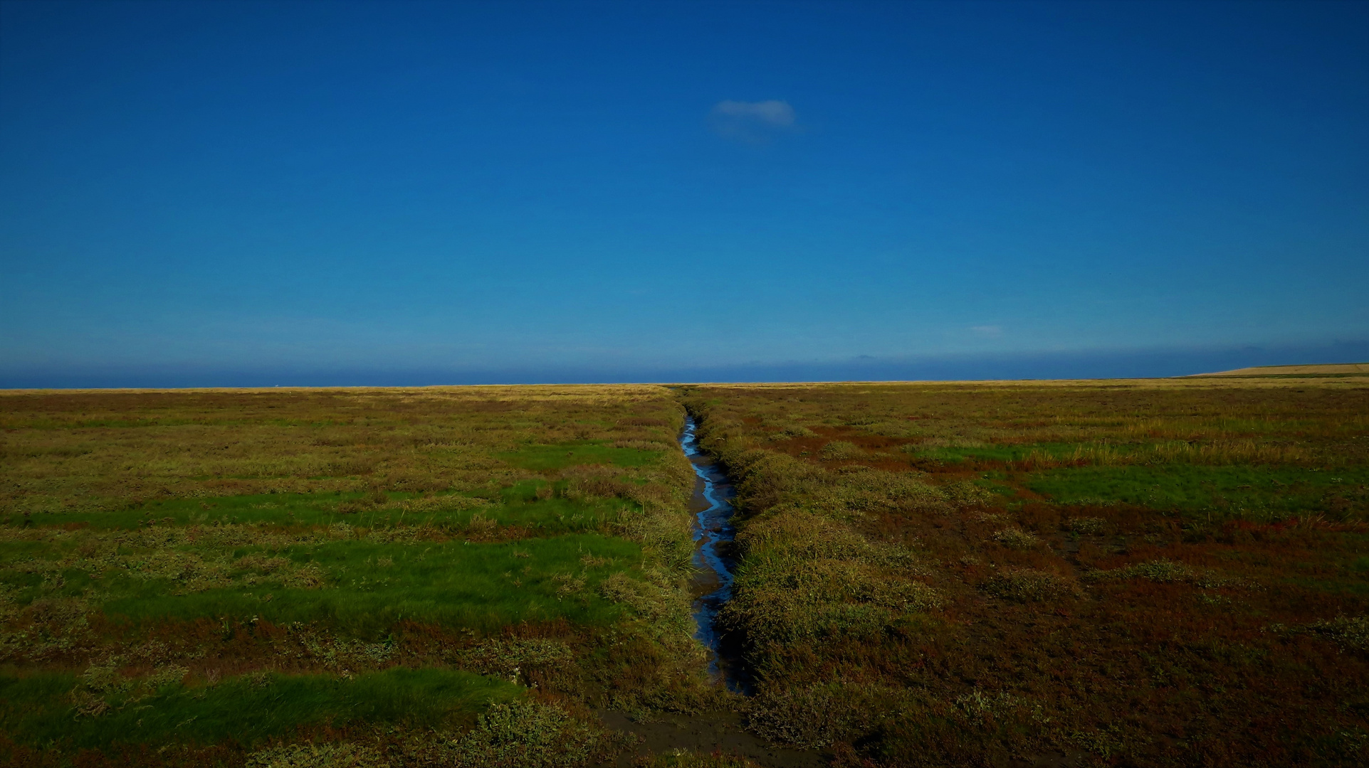 Westerhever