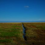 Westerhever