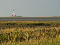 Westerhever