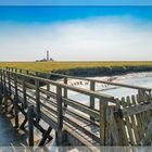 Westerhever