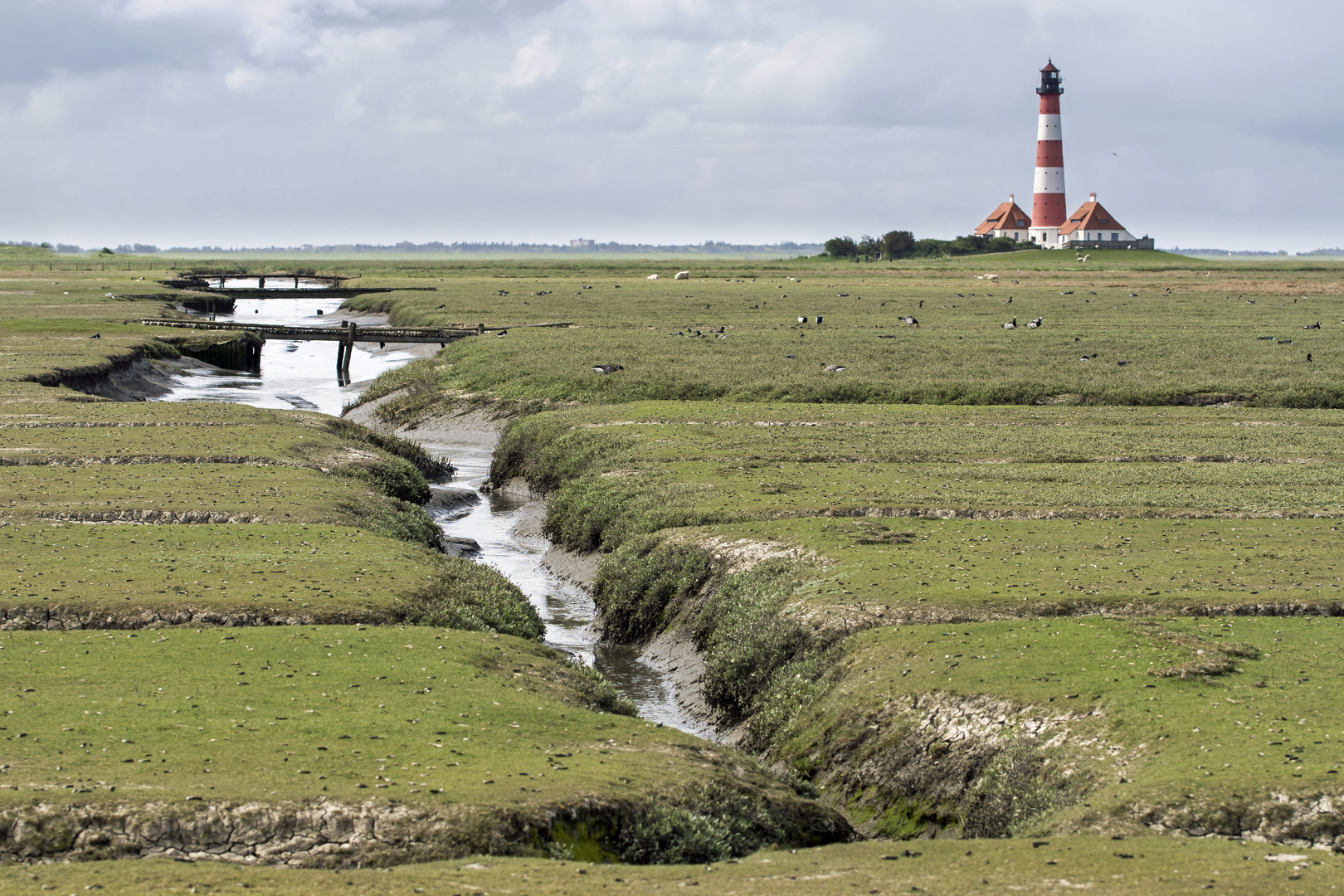 Westerhever