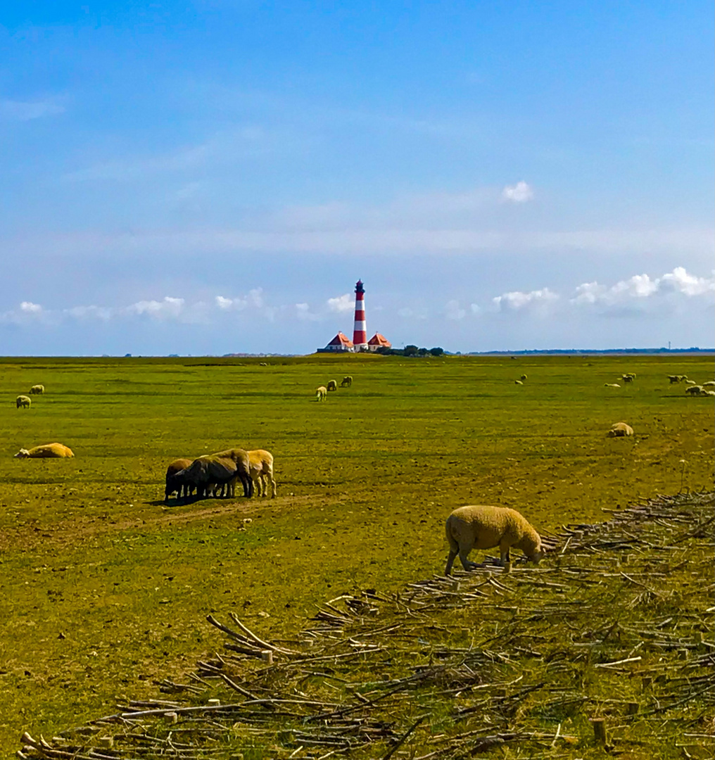 Westerhever