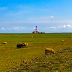 Westerhever