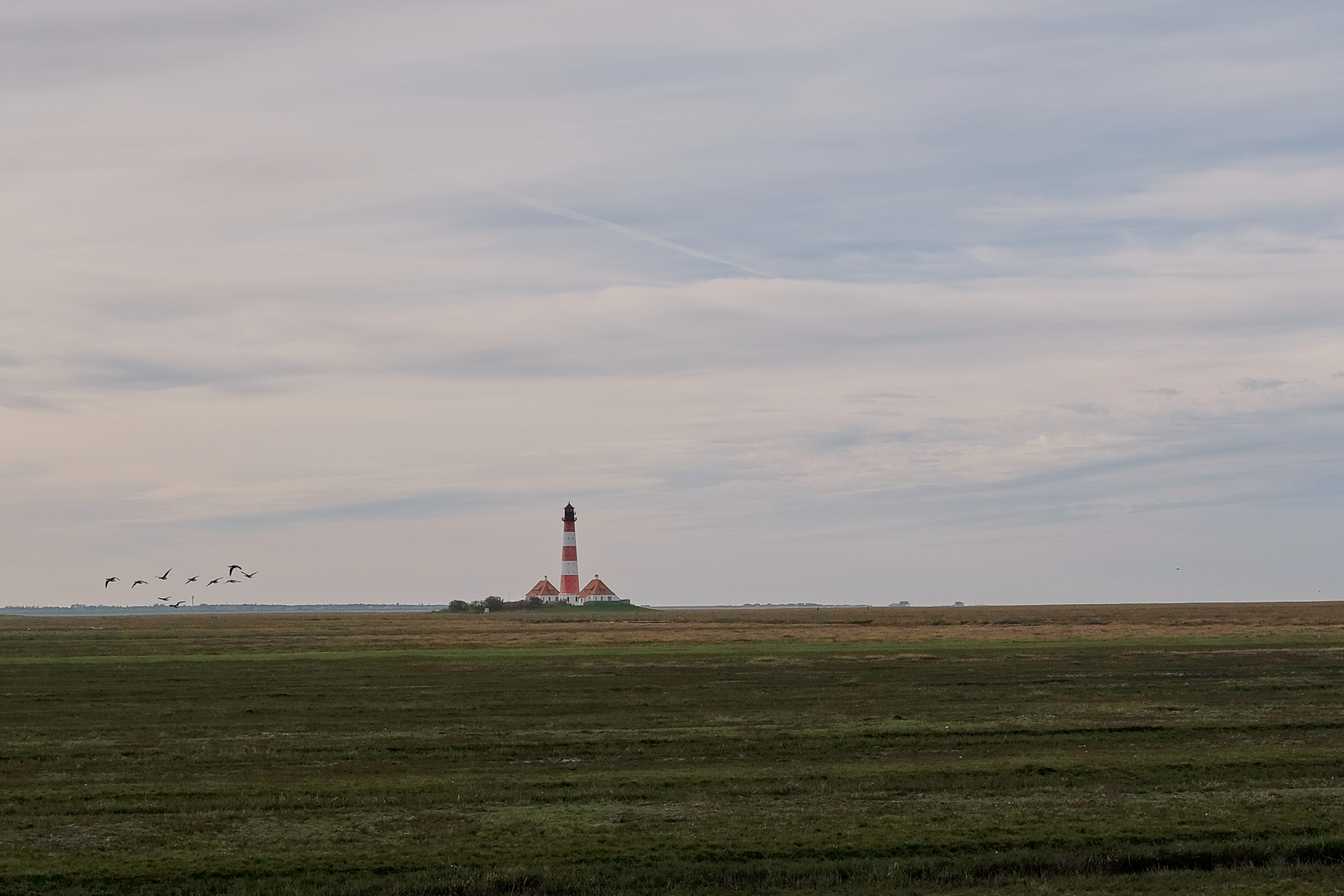 Westerhever