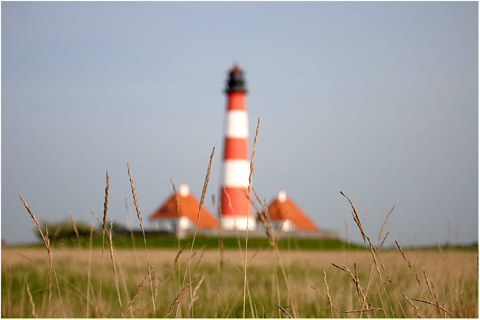 Westerhever