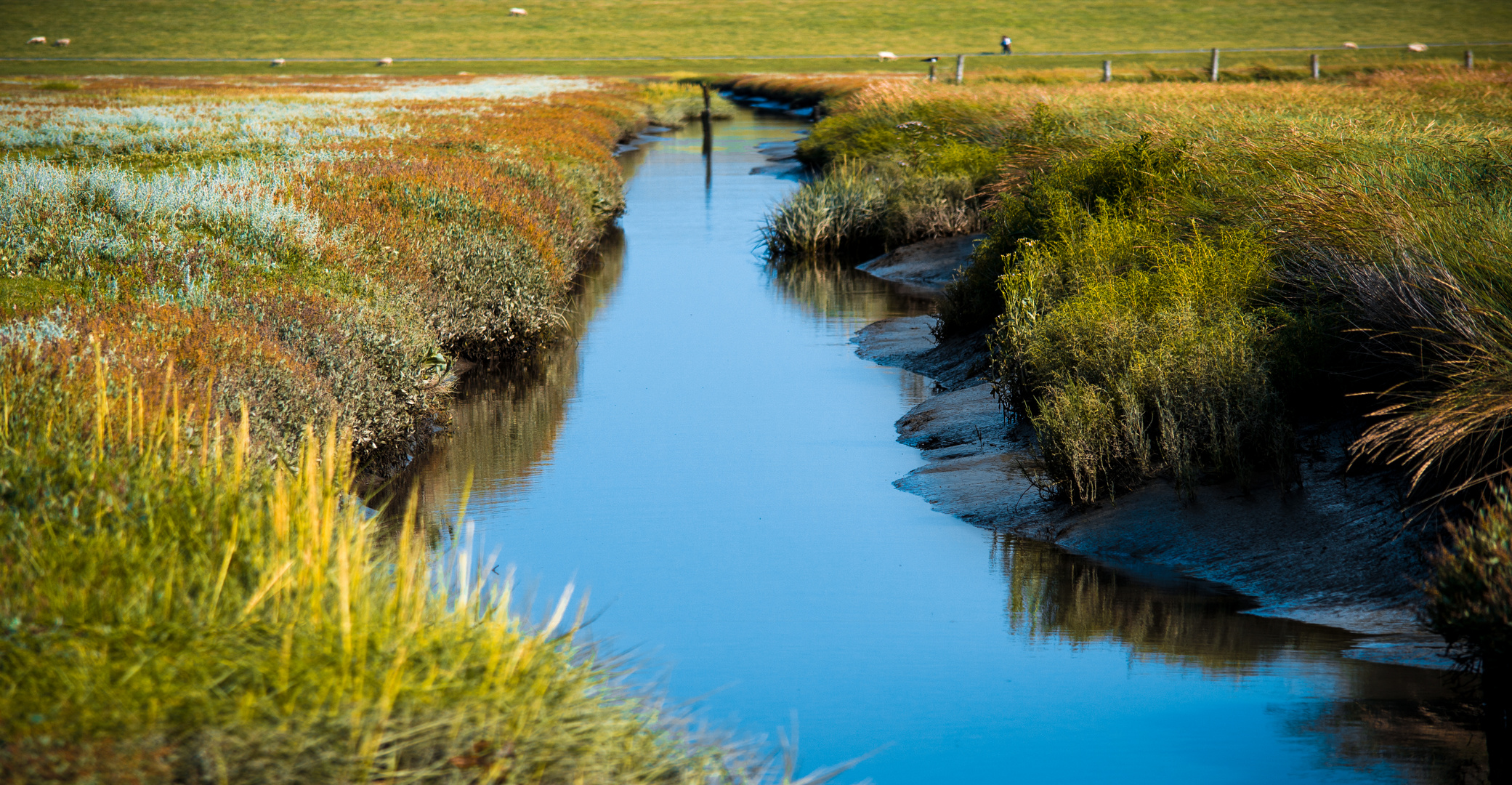 Westerhever Bachlauf