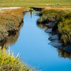 Westerhever Bachlauf