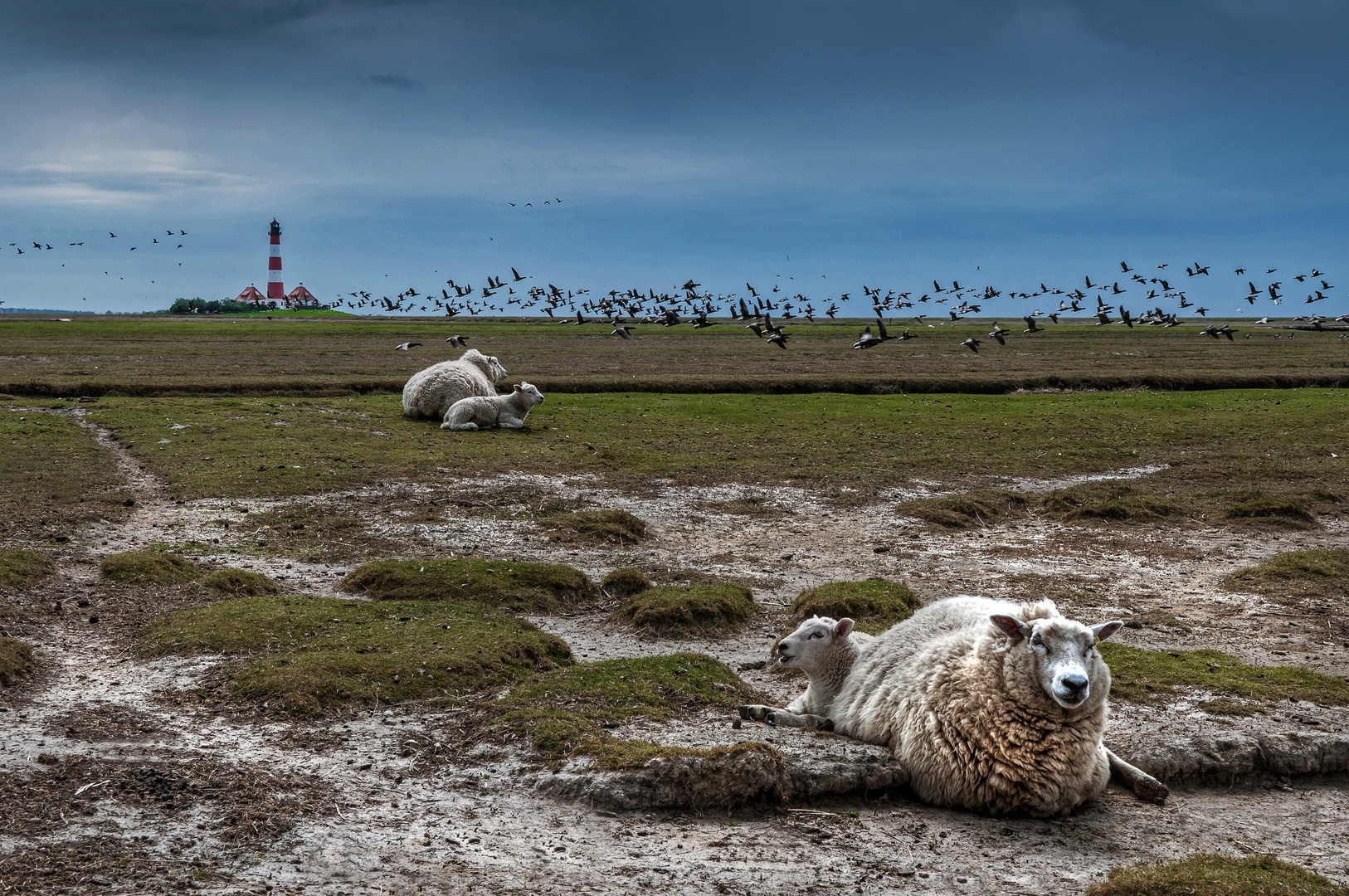 Westerhever..