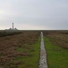 Westerhever