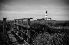 Westerhever Black & White