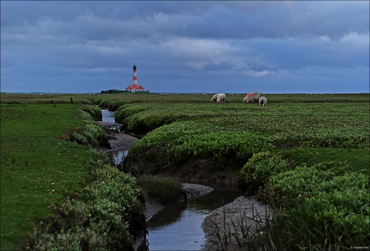 Westerhever