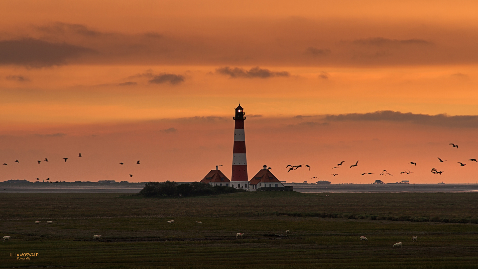 ...Westerhever...