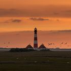 ...Westerhever...