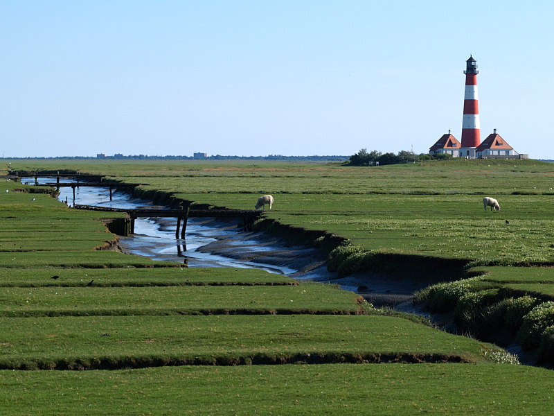 Westerhever