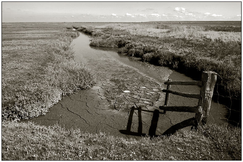 Westerhever