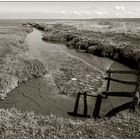 Westerhever