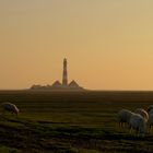 Westerhever