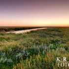 Westerhever